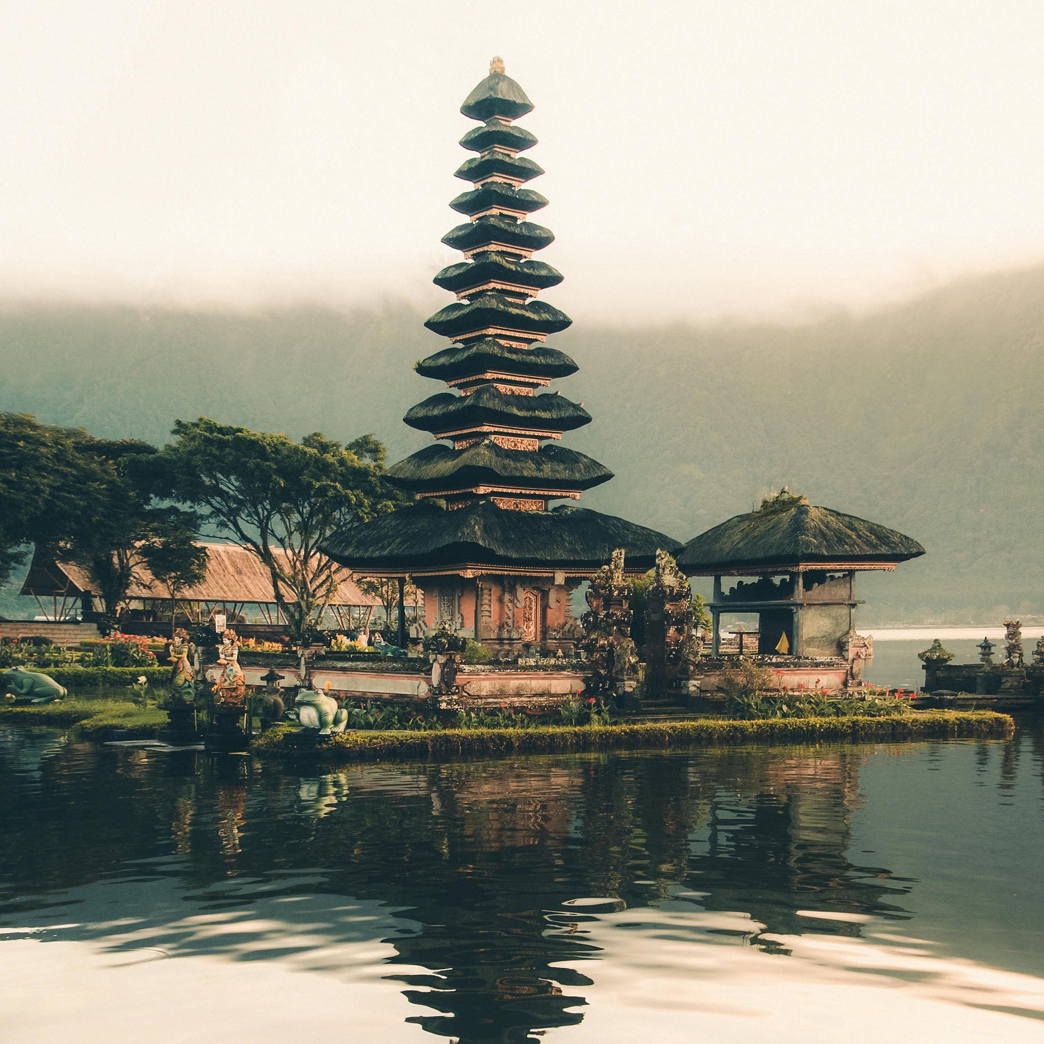 The Java Brown Double Lizard Strap - Jubilee Edition