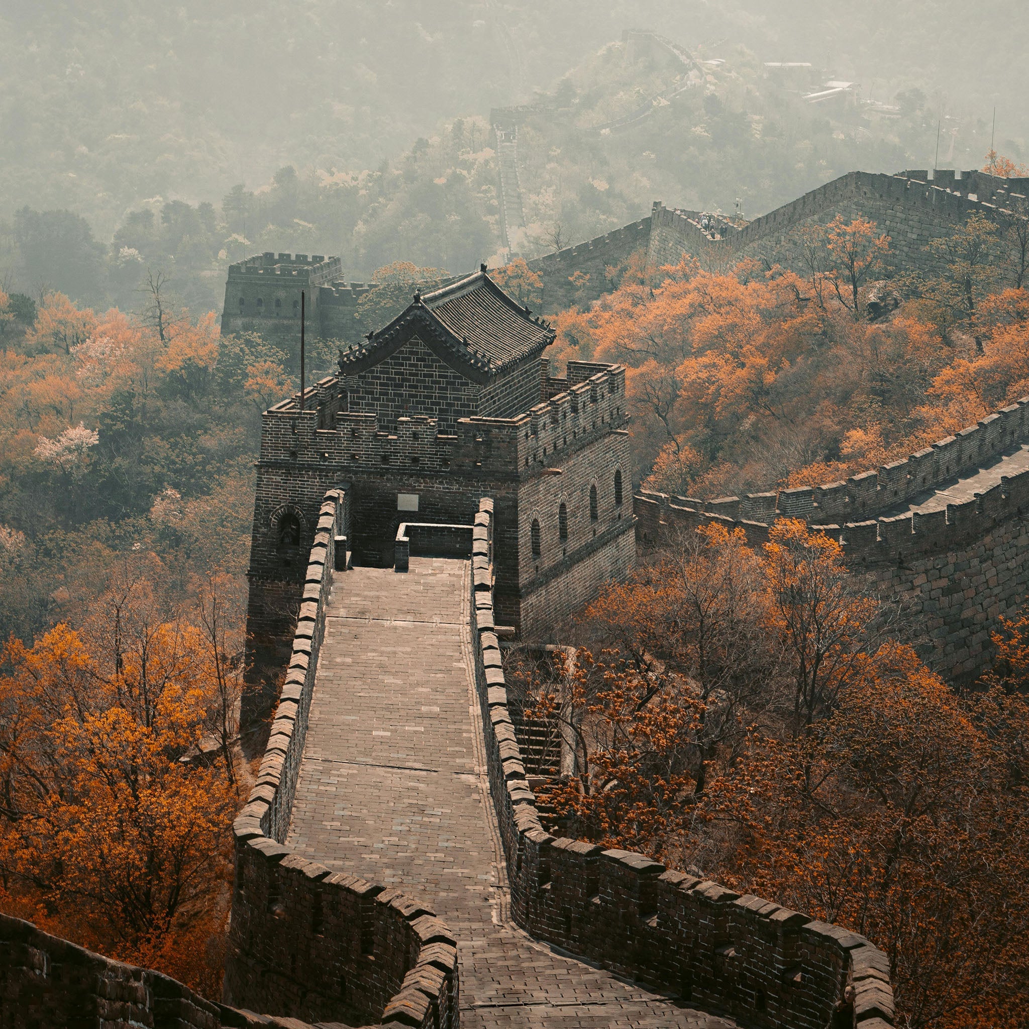 The Silky Route Taupe Strap - Jubilee Edition