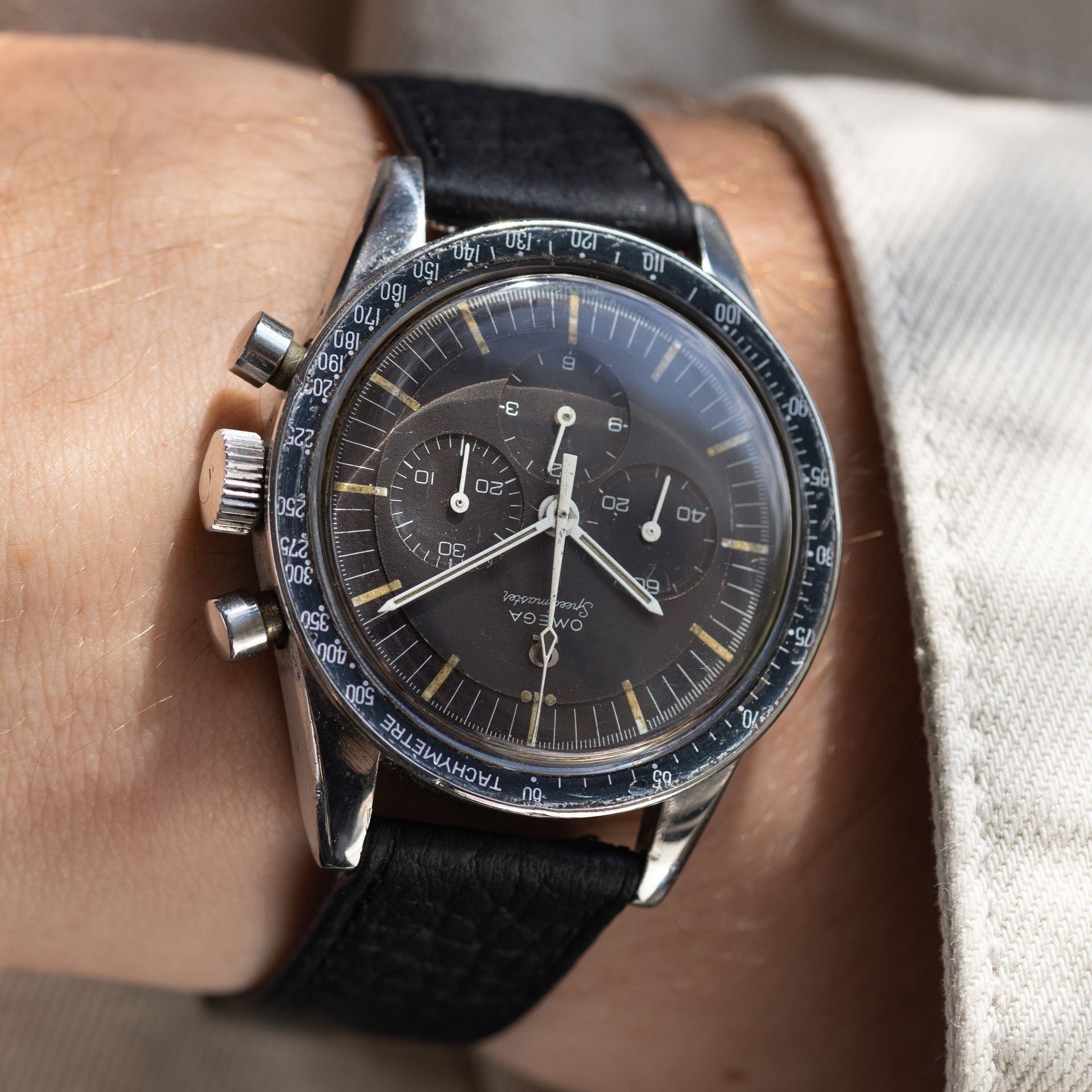 Tropical dial 2024 omega